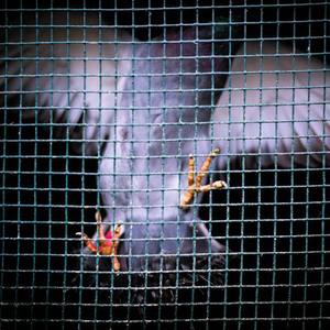 国产精品亚洲一区二区无码四虎
