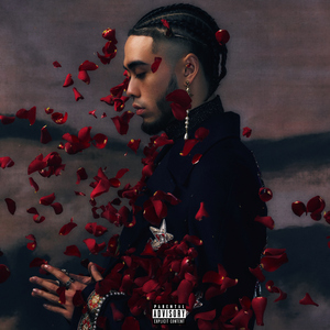 国产精品亚洲一区二区无码四虎
