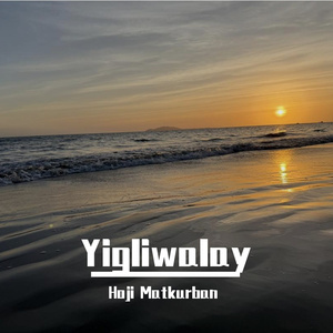 国产精品亚洲一区二区无码四虎
